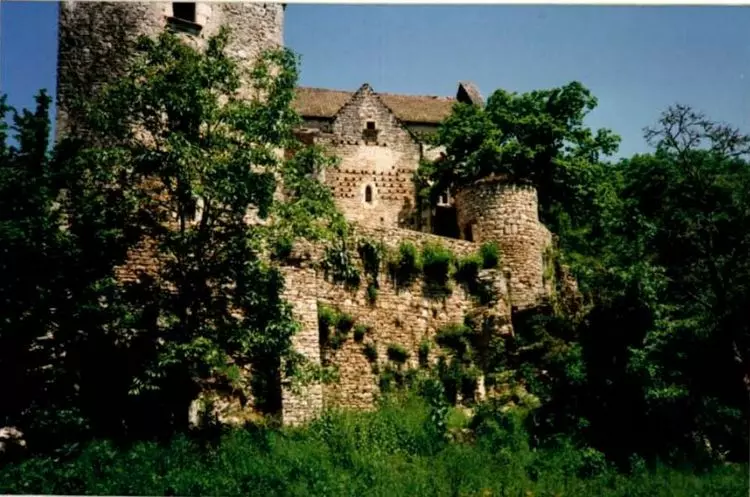 Slide image