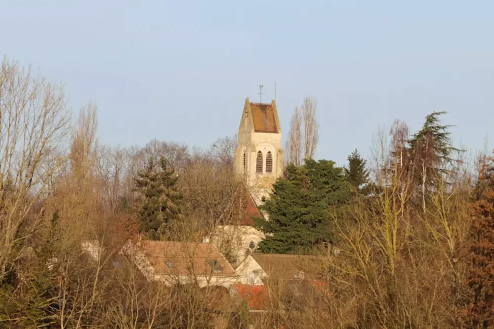 Slide image