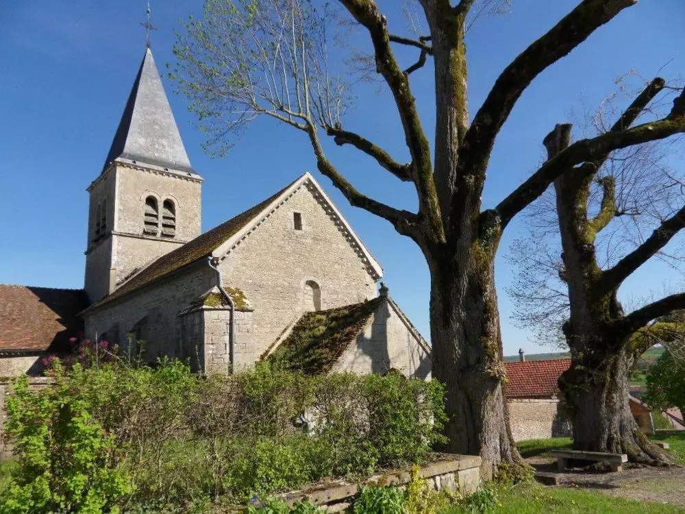 Slide image