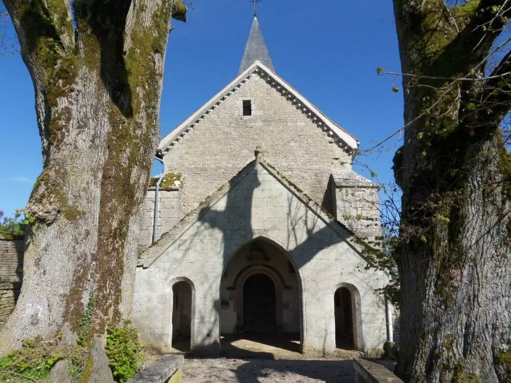 Slide image