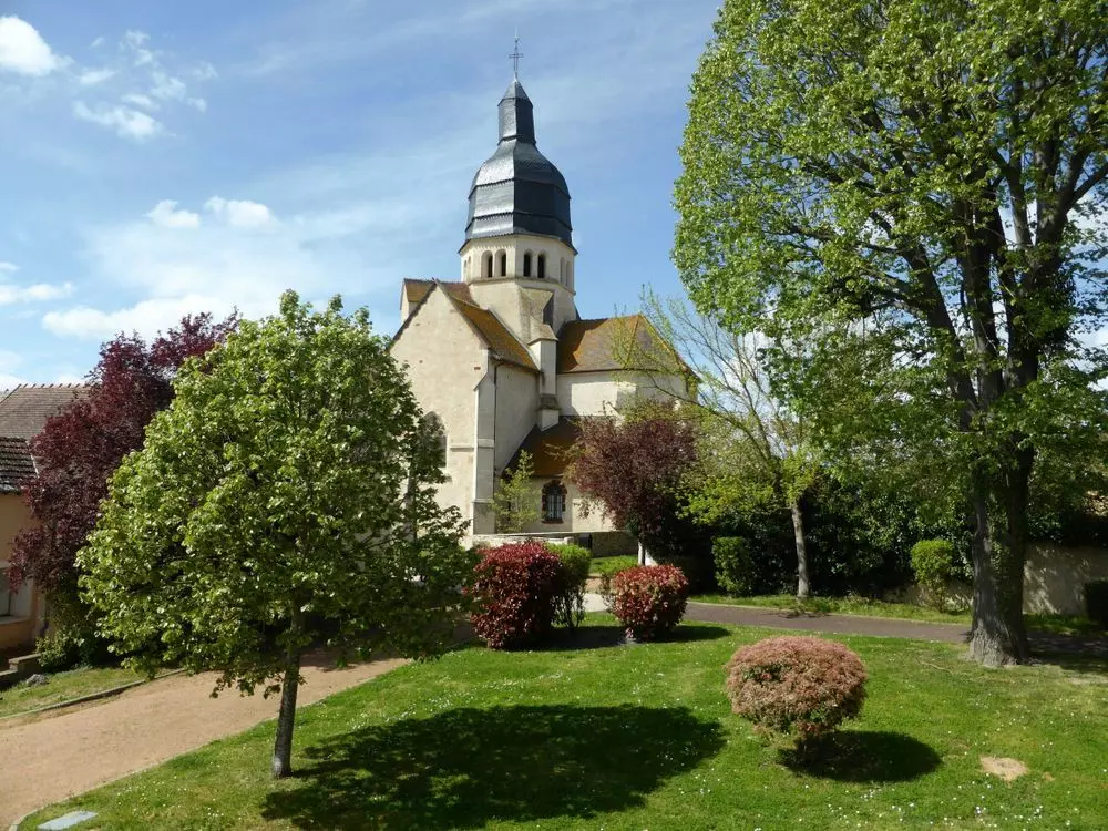 Slide image