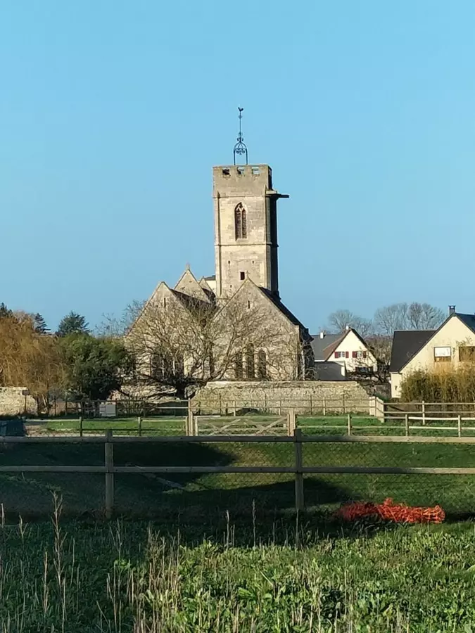Slide image