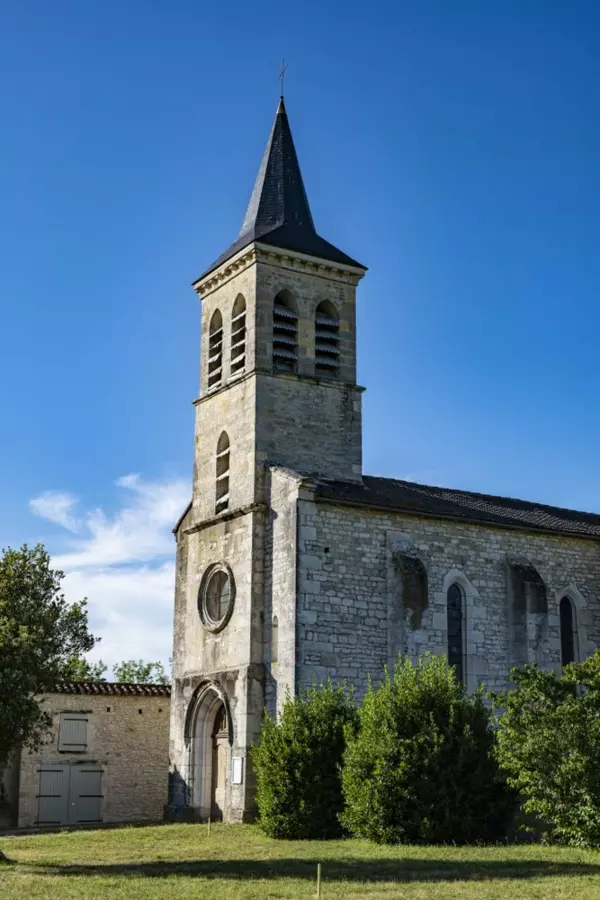 Slide image