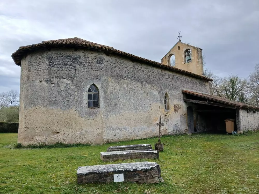 Slide image