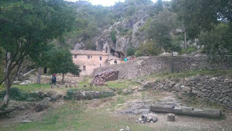 Slide image