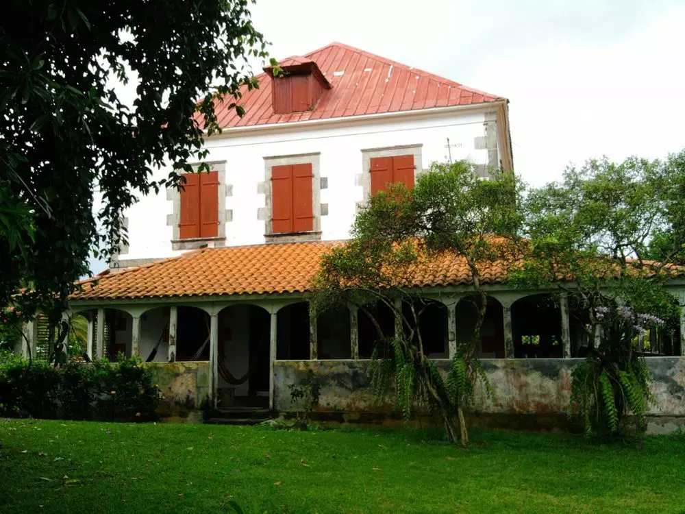 Slide image