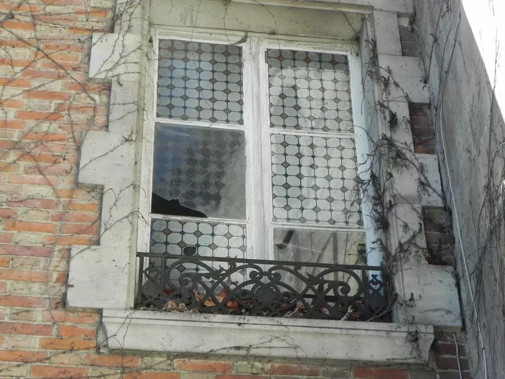 Slide image
