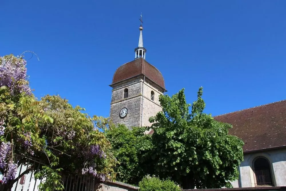 Slide image