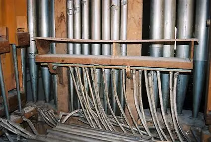 Slide image