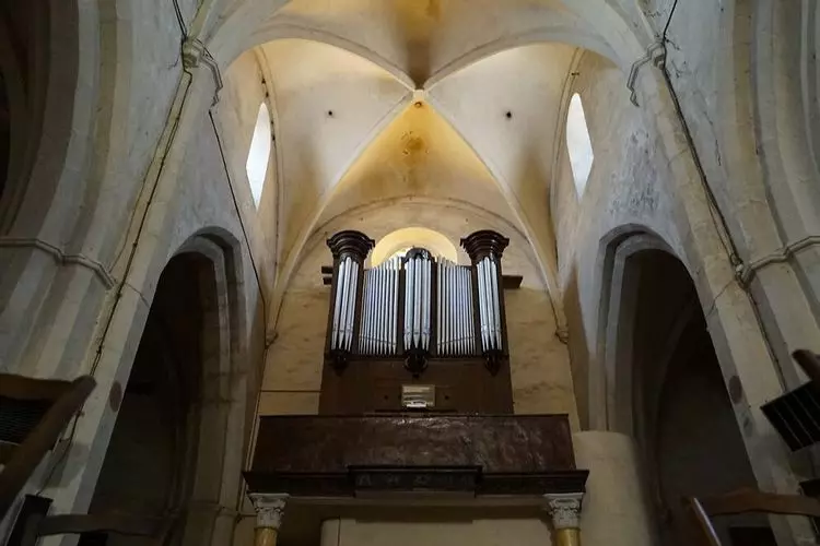 Slide image