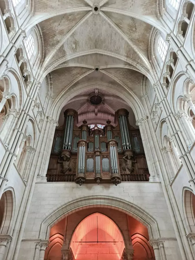 Slide image
