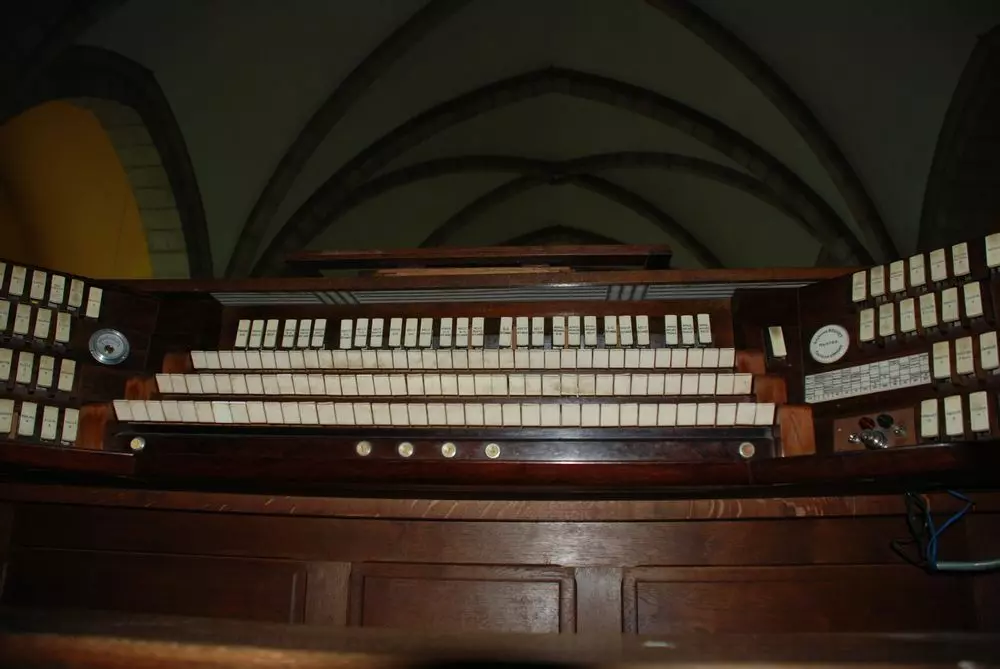 Slide image