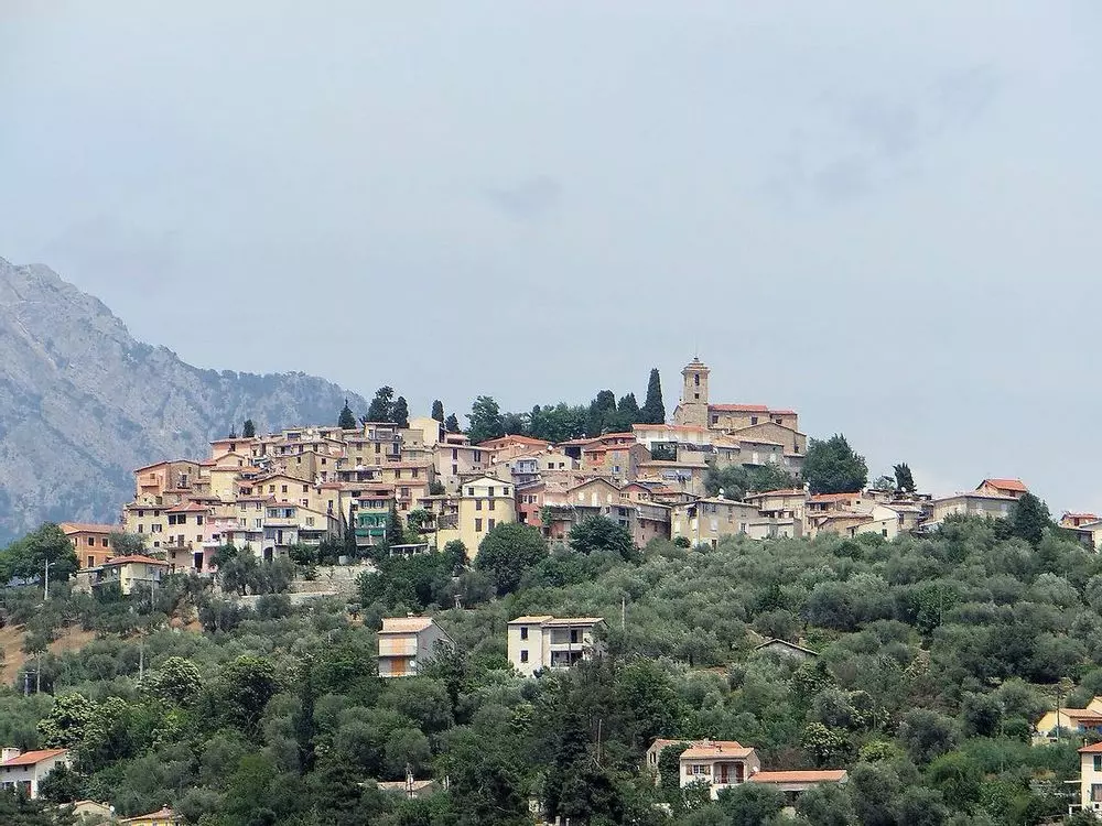 Slide image