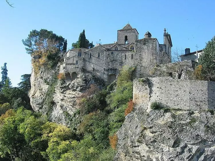 Slide image