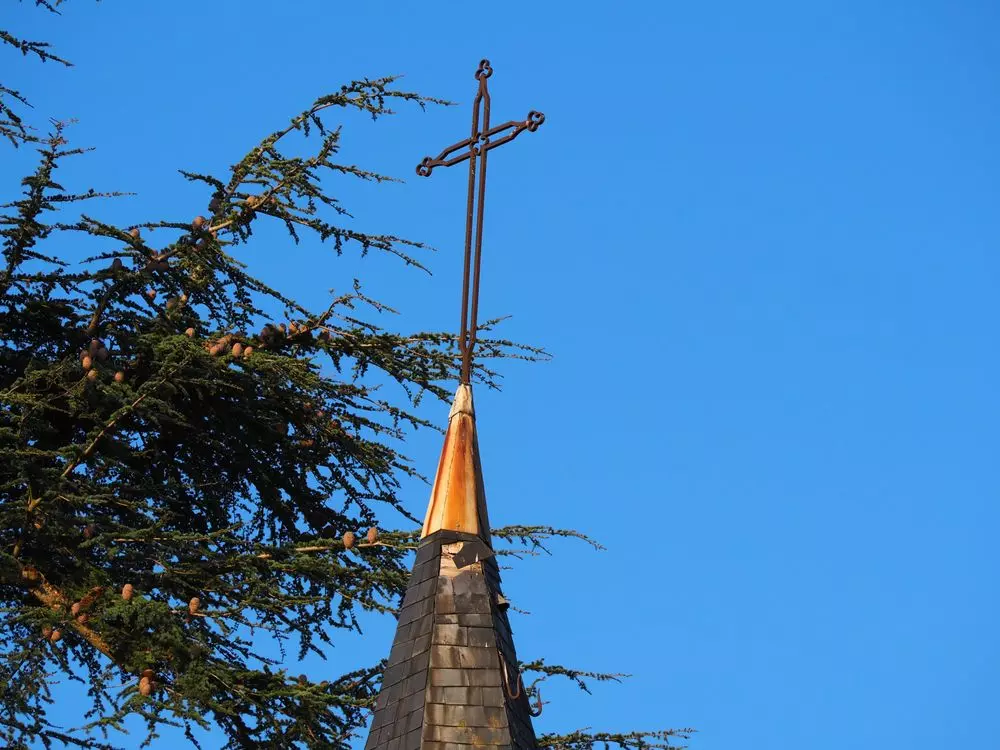 Slide image