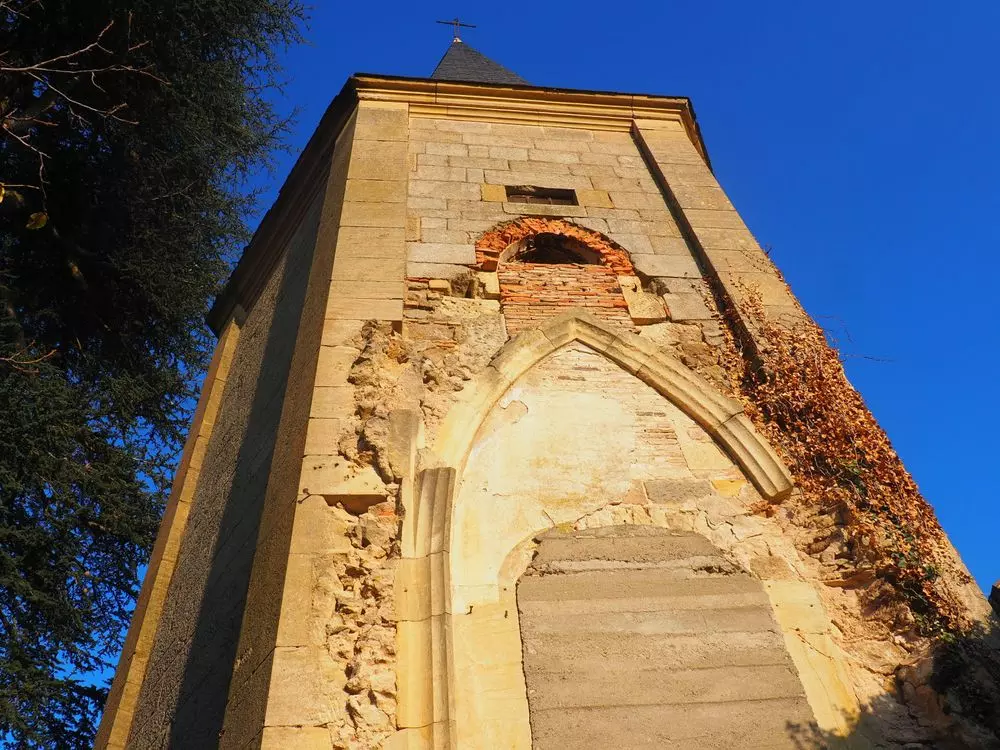 Slide image