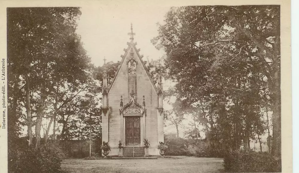 Slide image