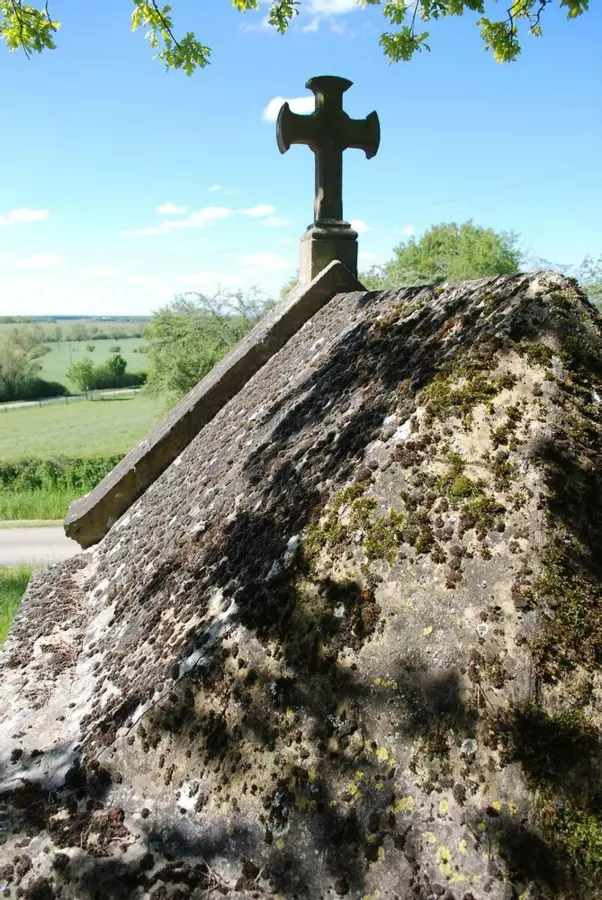 Slide image