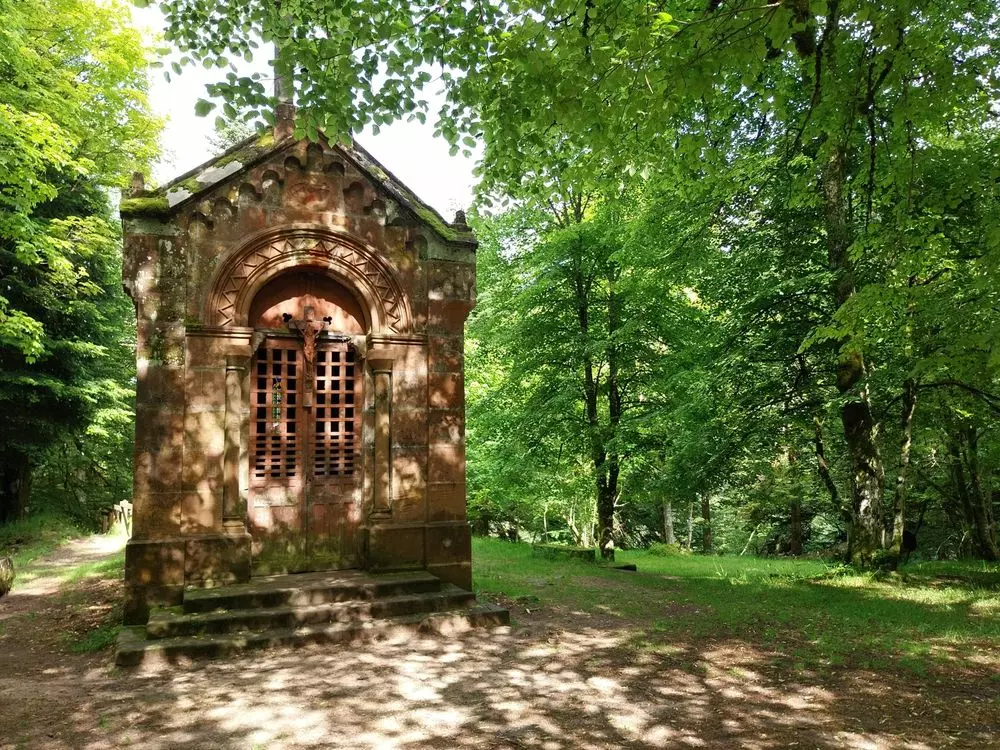 Slide image