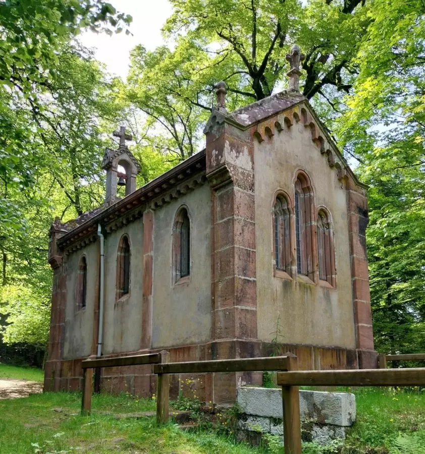 Slide image