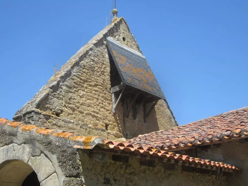 Slide image