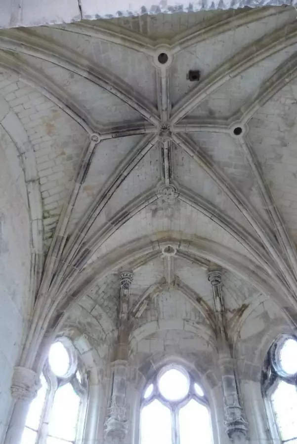 Slide image