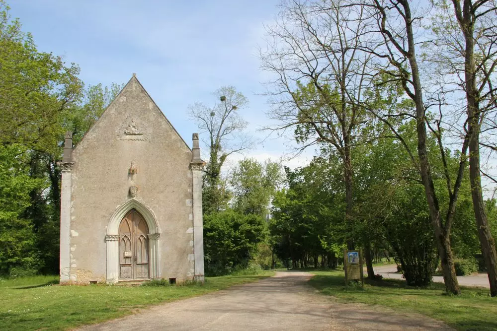 Slide image