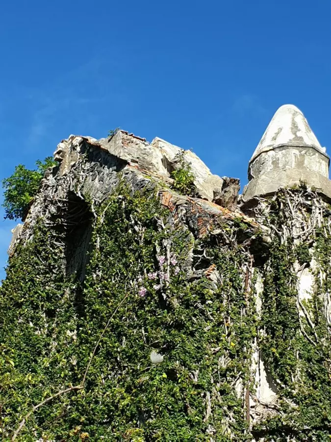 Slide image