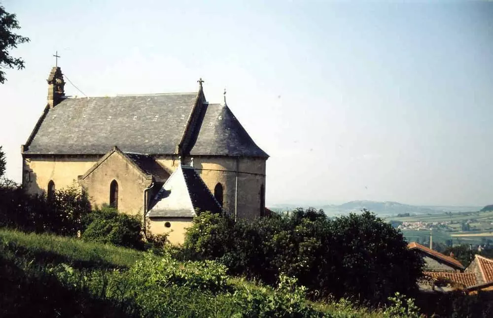 Slide image