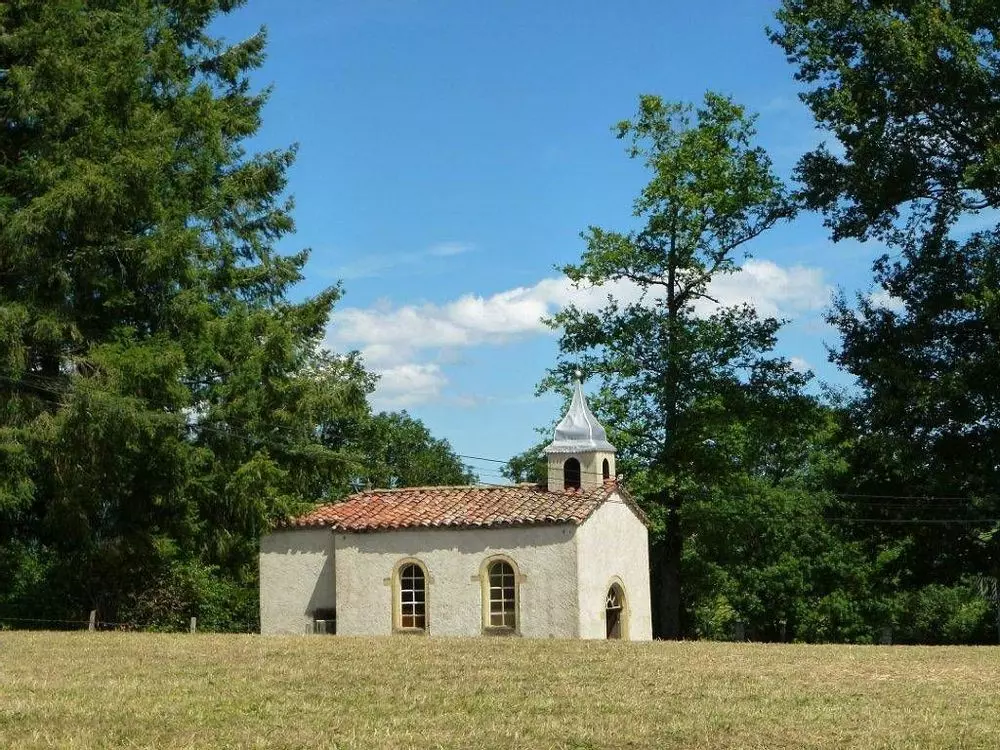 Slide image