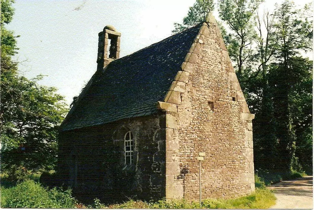 Slide image