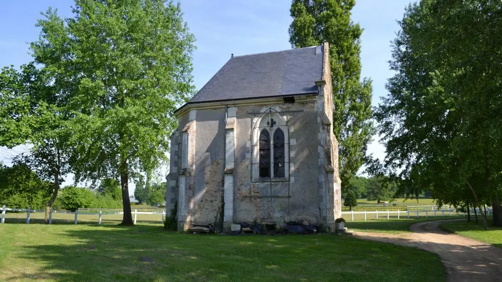 Slide image