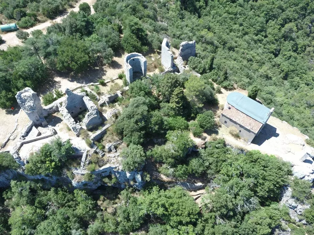 Slide image