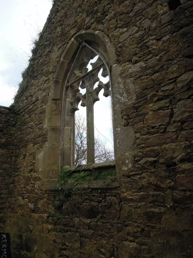 Slide image