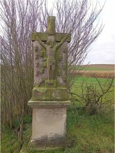 Slide image