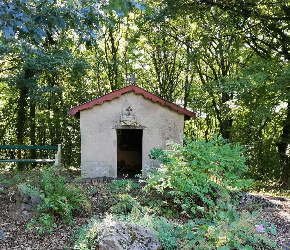 Slide image