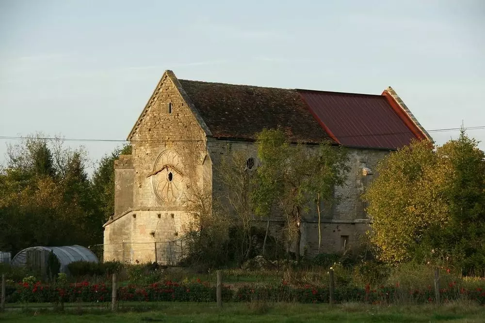 Slide image