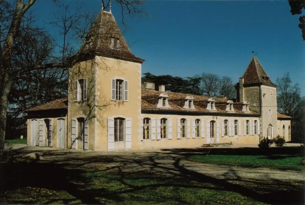 Slide image