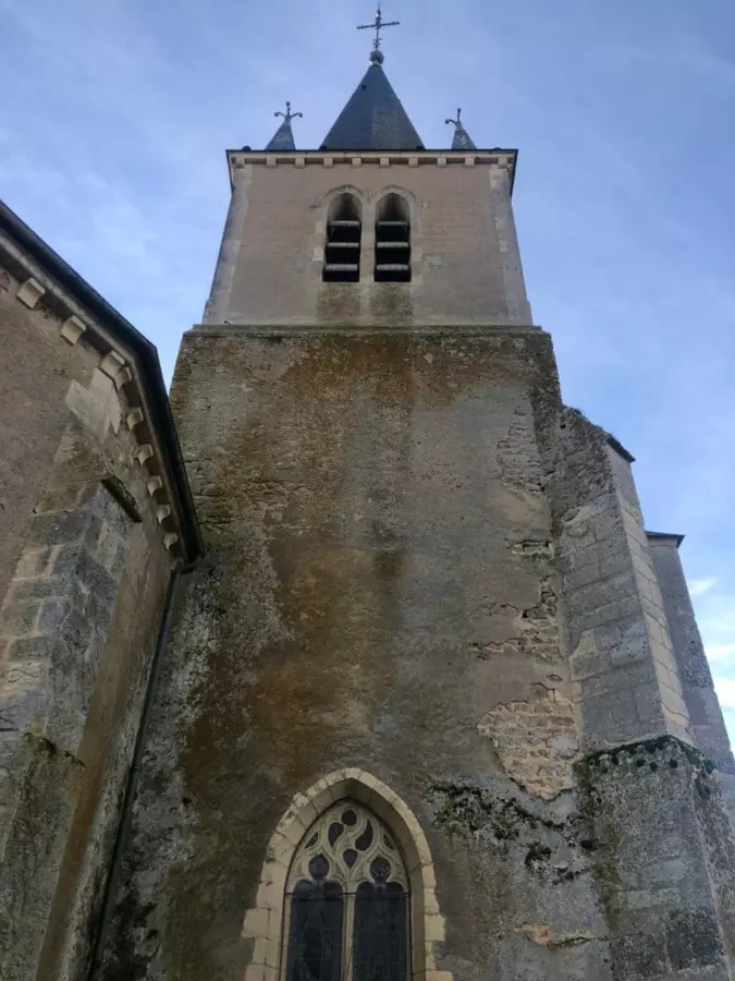 Slide image