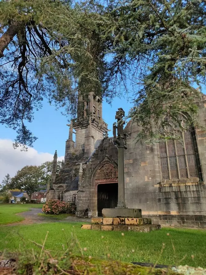 Slide image