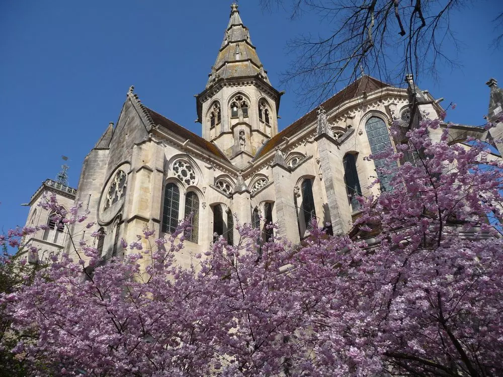 Slide image