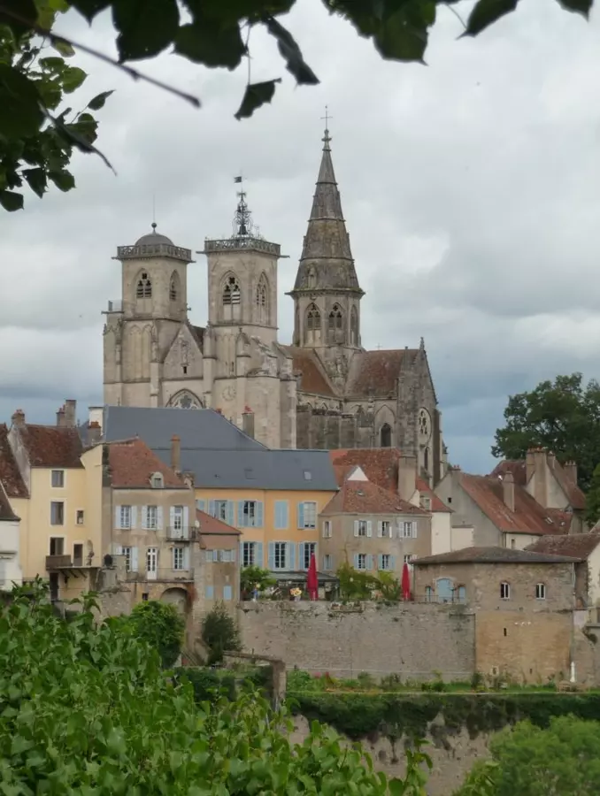 Slide image
