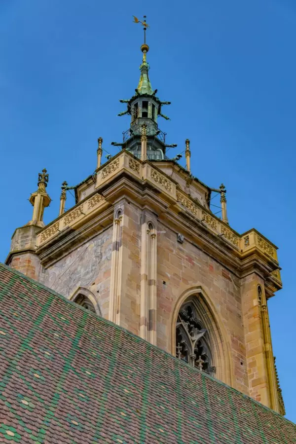 Slide image