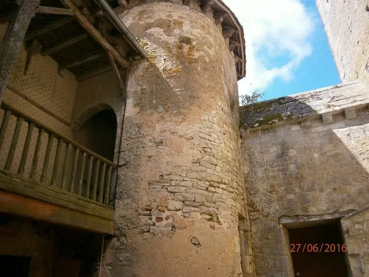 Slide image