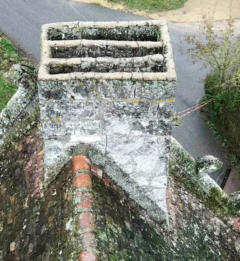 Slide image