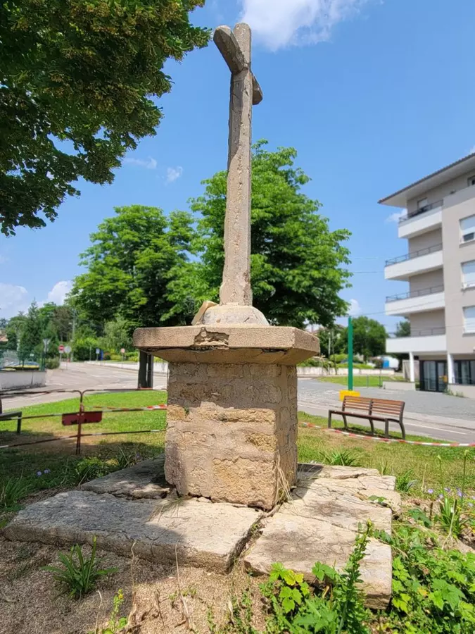 Slide image