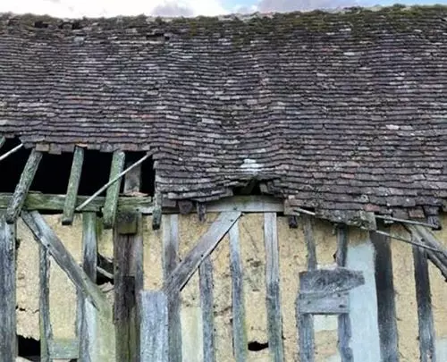 Slide image