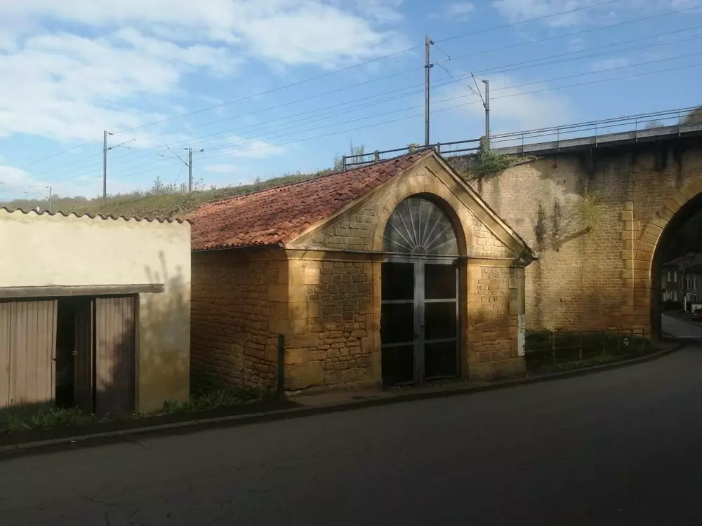 Slide image