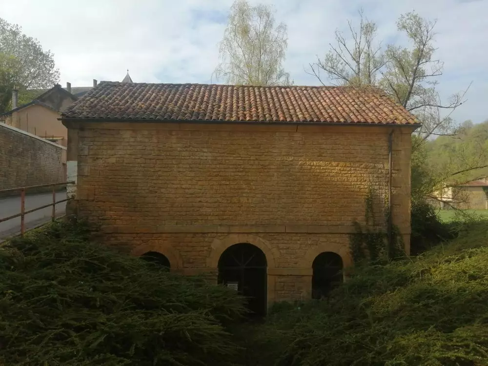 Slide image