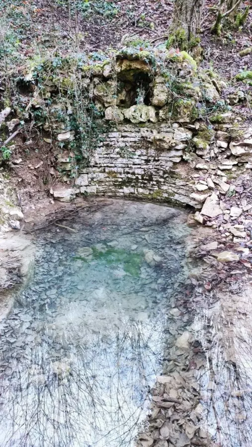 Slide image